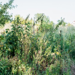 http://www.marcel-schwickerath.de:8080/files/dimgs/thumb_1x300_1_136_780.jpg